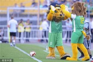 沙特职业足球联赛：踢出新纪元,引领足球新时代的里程碑