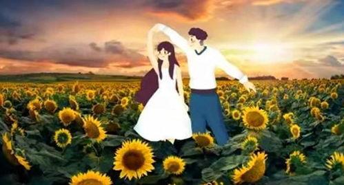 坡顶上的爱,一段浪漫的巅峰邂逅